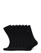 Fc 7 Pack Socks Black French Connection
