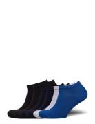 Essential Steps 6P Black Björn Borg