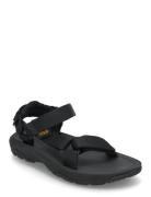 Hurricane Xlt 2 Black Teva