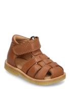 Bisgaard Ami Brown Bisgaard