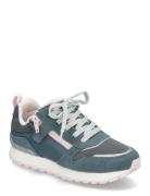 Dash Blue Superfit