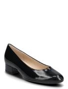 Pumps Black Gabor