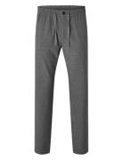 Slh196-Straight Robert String Pant Noos Grey Selected