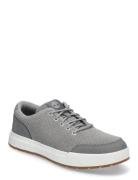 Low Lace Sneaker Grey Timberland