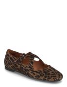 Ballerina Brown Billi Bi