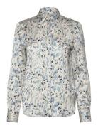 Clemande P Blue Tiger Of Sweden