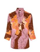 Kamidea Ev Brown Dea Kudibal