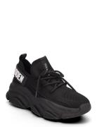 Protégé-E Black Steve Madden