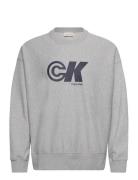 Premium Terry Ck Sport Graphic C Grey Calvin Klein Jeans