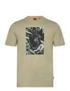 Te_Animali White BOSS