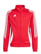 Tiro24 Trjkty Red Adidas Performance