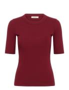 Dagnaiw T-Shirt Burgundy InWear