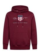Reg Archive Shield Hoodie Purple GANT