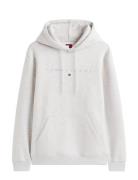 Tjm Reg Linear Logo Hoodie Ext Grey Tommy Jeans