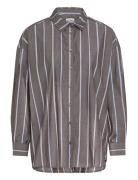 Ihsadia Sh2 Brown ICHI