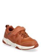 Bonnie K Brown Exani