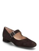Culverks Brown UNISA