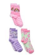 Socks Patterned Paw Patrol