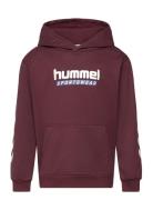Hmljr Logo Hoodie Burgundy Hummel