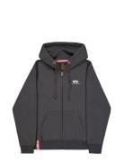Basic Zip Hoodie Small Logo Brown Alpha Industries