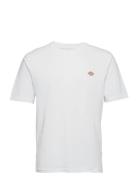 M Ss Mapleton Tee White Dickies