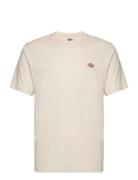 M Ss Mapleton Tee Cream Dickies