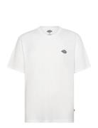 M Summerdale Ss Tee White Dickies