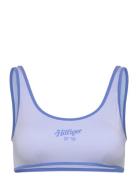 Bralette Logo Blue Tommy Hilfiger