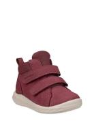 Sp.1 Lite Infant Burgundy ECCO