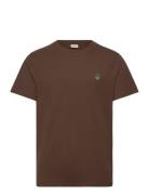 Sdreginald Brown Solid