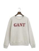 Graphic C-Neck Sweat Grey GANT