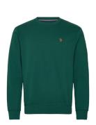 Tais Reg Cot Pe Uspa M Sweat Green U.S. Polo Assn.