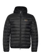 Down Jacket Black EA7