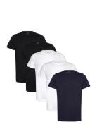 Claudio 5-Pack T-Shirt Cotton Black Claudio