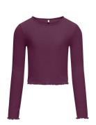 Kognella L/S O-Neck Top Jrs Noos Purple Kids Only
