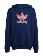 Hoodie Navy Adidas Originals