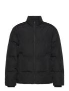Jjesoho Puffer Collar Jnr Black Jack & J S