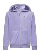 Hoodjacket Velour Solid Purple Lindex