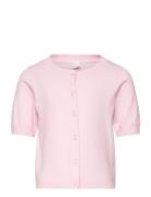 Cardigan Short Sleeve Basic Pink Lindex