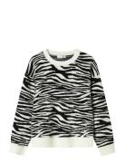 Nkforkide Ls Knit Box Black Name It