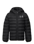 Down Jacket Black EA7