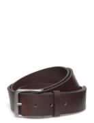 Casual Pin Buckle 35Mm Fixed Brown Calvin Klein