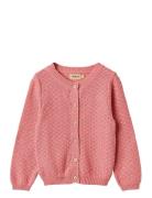 Knit Cardigan Magnella Pink Wheat