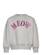 Tnpolina Os Sweatshirt Grey The New