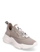 Match-E Sneaker Beige Steve Madden