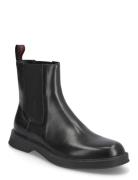 Lenner_Cheb_Pllt Black HUGO