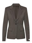 Nancy Brown Tiger Of Sweden