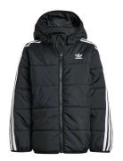 Padded Jacket Black Adidas Originals