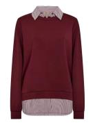 Sc-Banu Red Soyaconcept