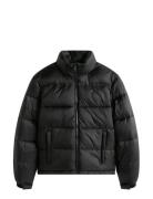 Tjw Pckbl Hood Ess Puffer Ext Black Tommy Jeans